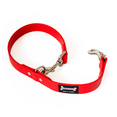 Smoochy Poochy Traffic Leash 21